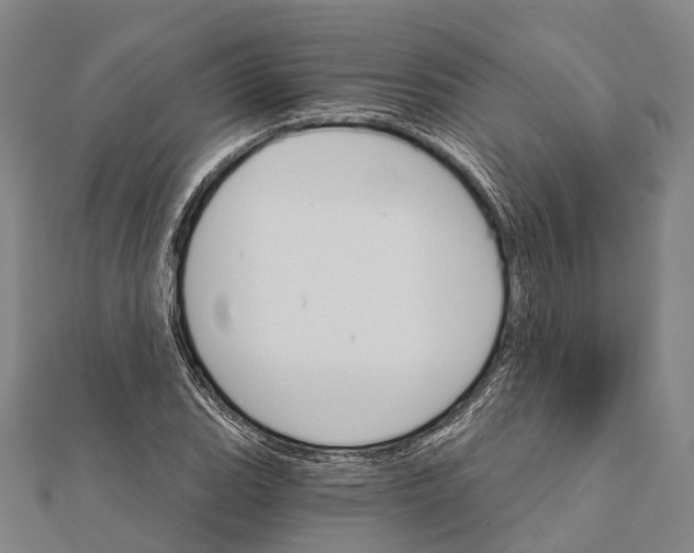 X0000111581119200908131313