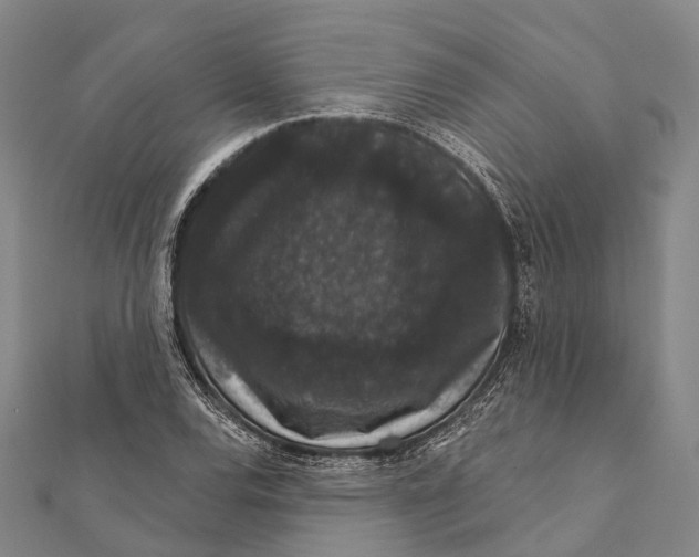 X0000111581120200908131313