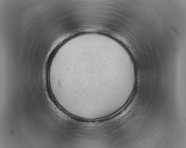 X0000111581122200908131313