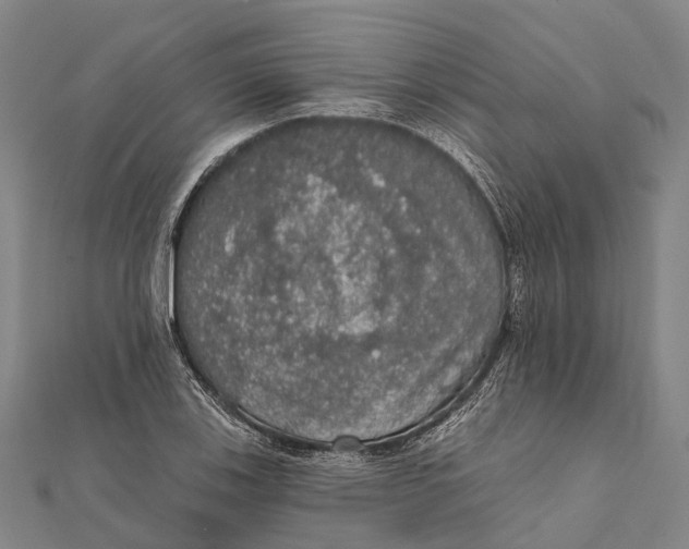 X0000111581123200908131313