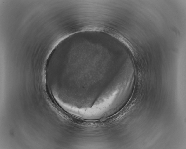 X0000111581124200908131313