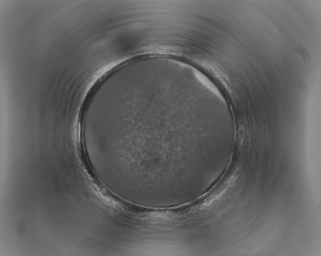 X0000111581125200908131313