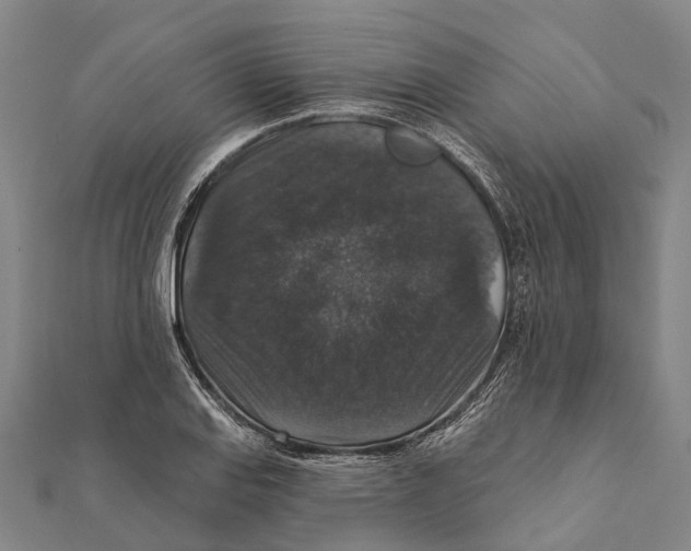 X0000111581127200908131313