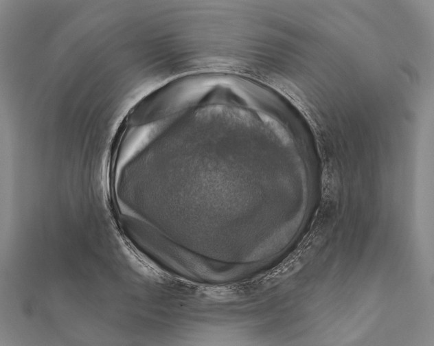 X0000111581128200908131313