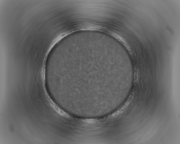 X0000111581130200908131313