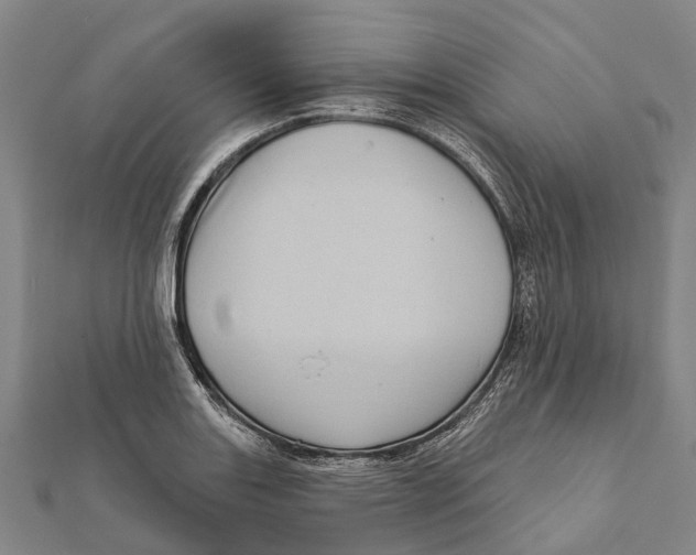 X0000111581131200908131313