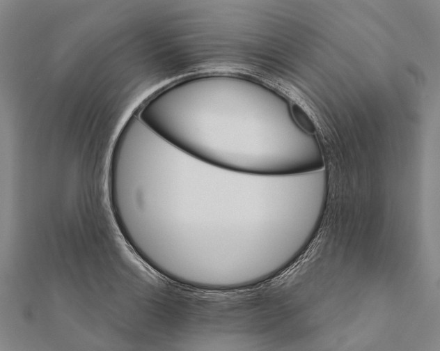 X0000111581132200908131313