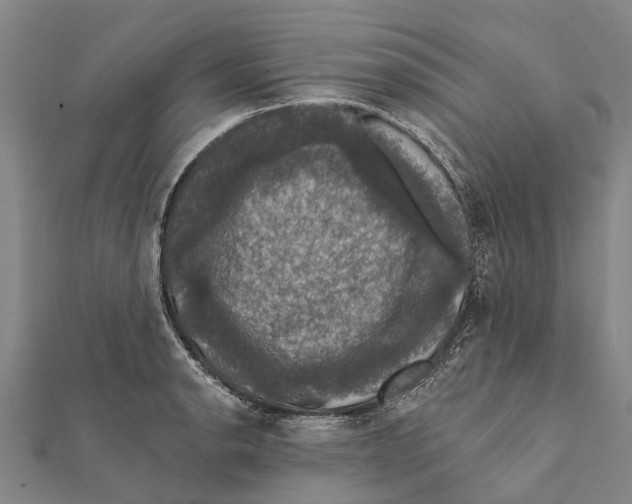 X0000111581134200908131313