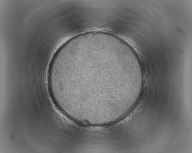 X0000111581135200908131313