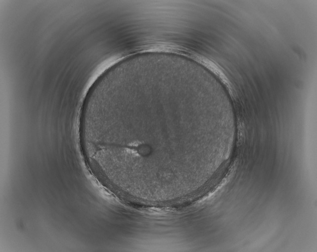 X0000111581138200908131313