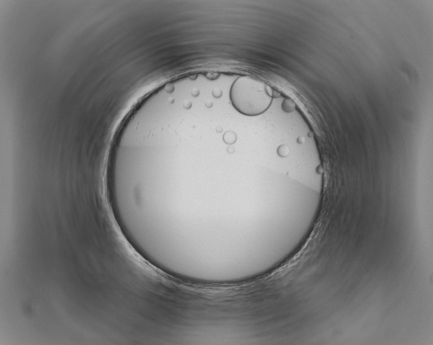 X0000111581139200908131313