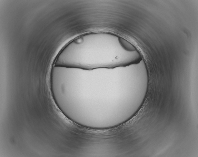 X0000111581140200908131313