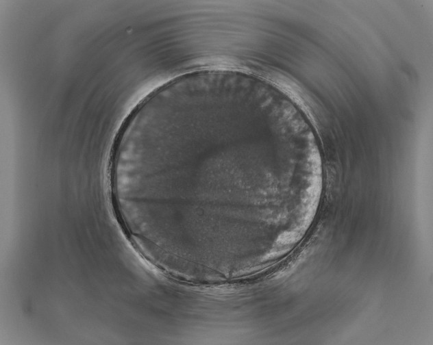 X0000111581141200908131313