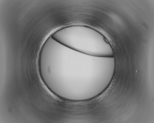 X0000111581142200908131313