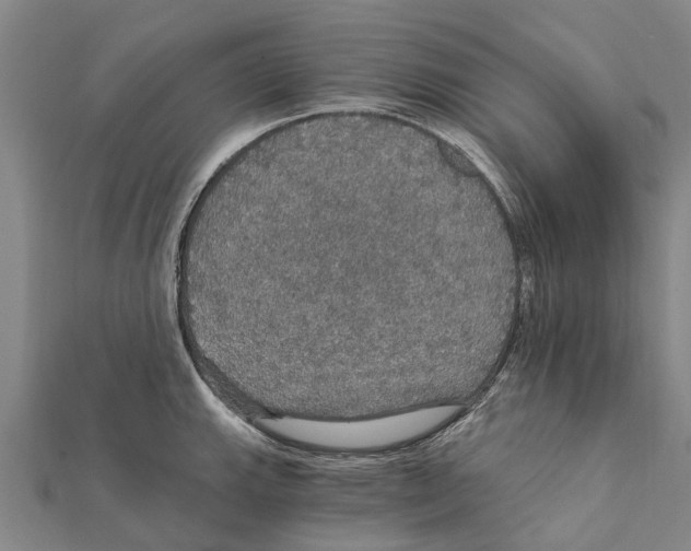 X0000111581143200908131313