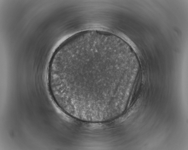 X0000111581144200908131313