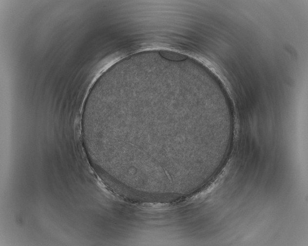 X0000111581145200908131313