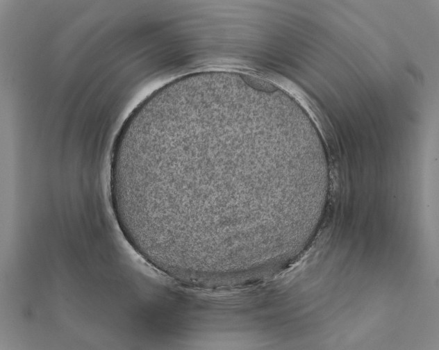 X0000111581147200908131313