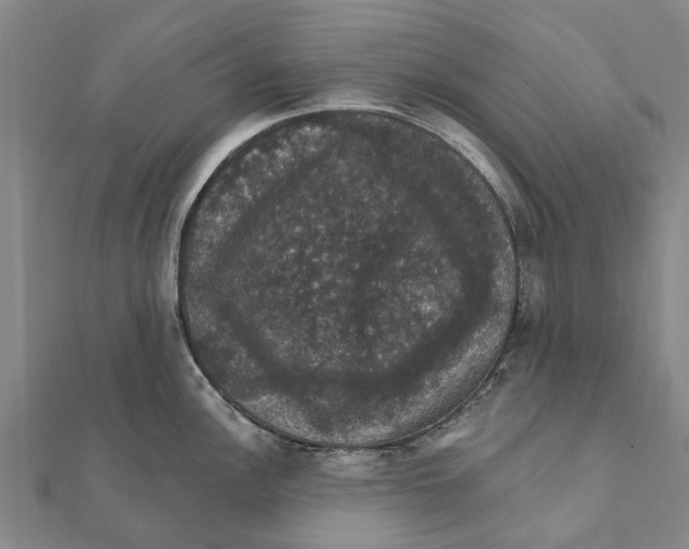 X0000111581148200908131313