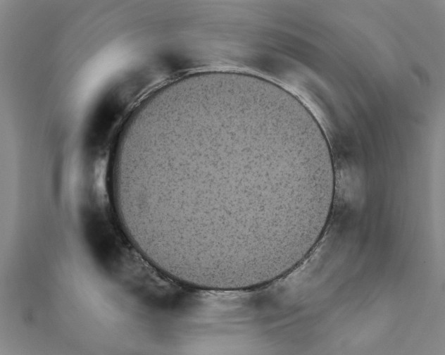 X0000111581150200908131313