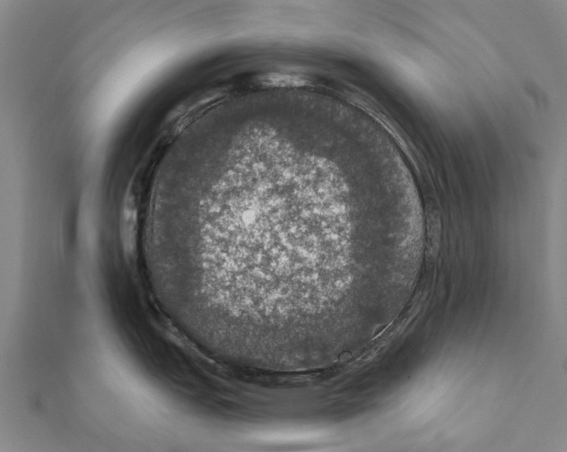 X0000111581151200908131313