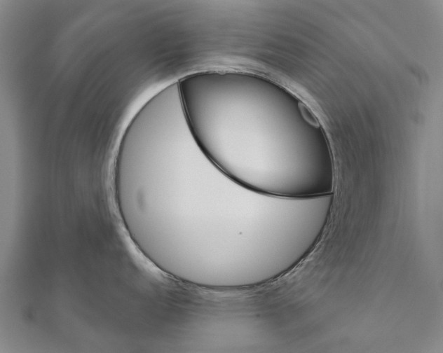 X0000111581152200908131313