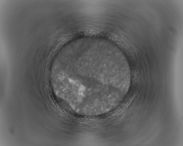 X0000111581153200908131312