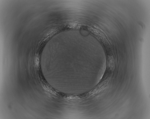 X0000111581154200908131312