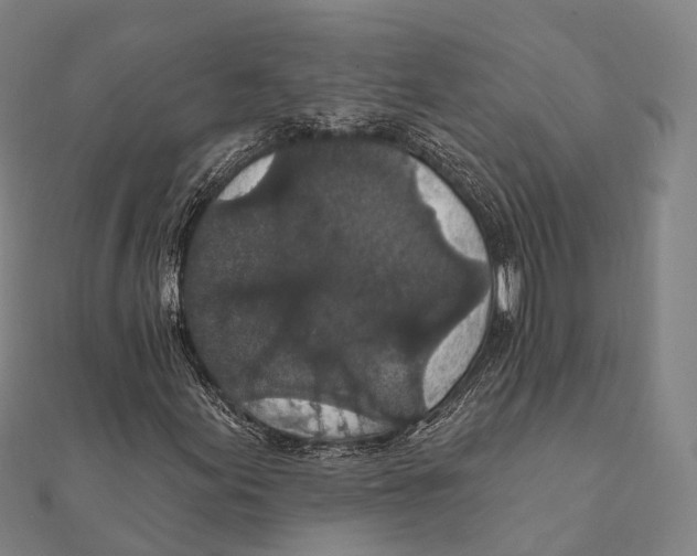 X0000111581155200908131312