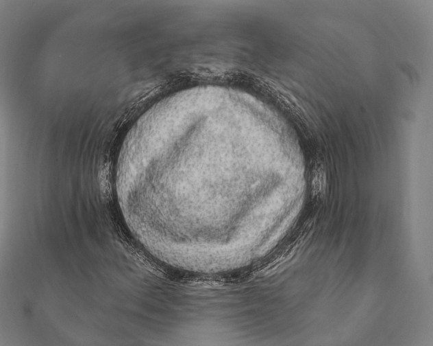 X0000111581156200908131312