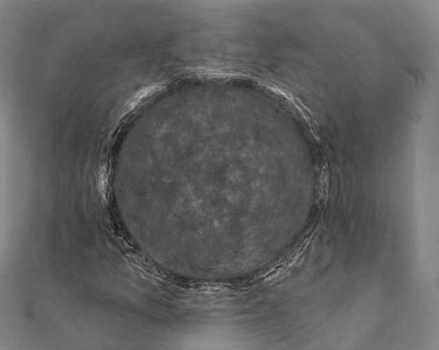 X0000111581157200908131312