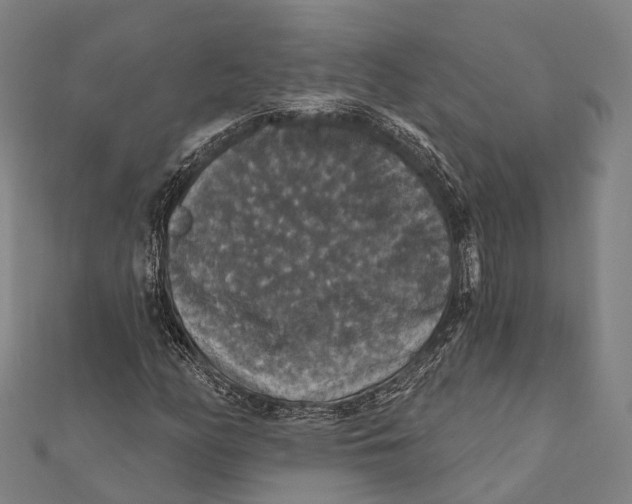 X0000111581158200908131312