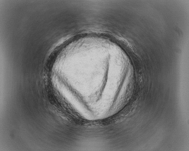 X0000111581159200908131312