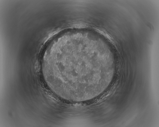 X0000111581160200908131312