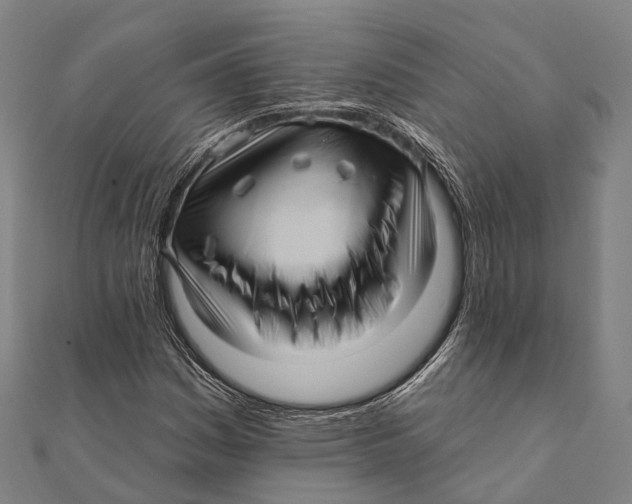 X0000111581161200908131312