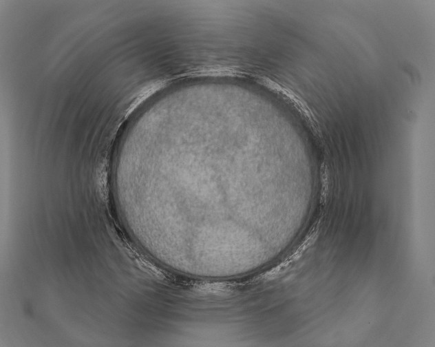 X0000111581162200908131312