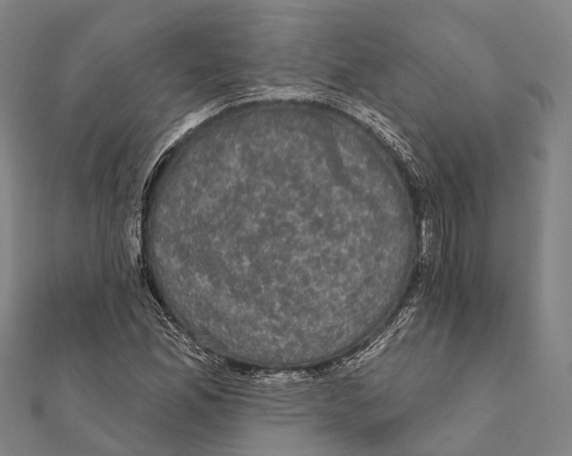 X0000111581165200908131312