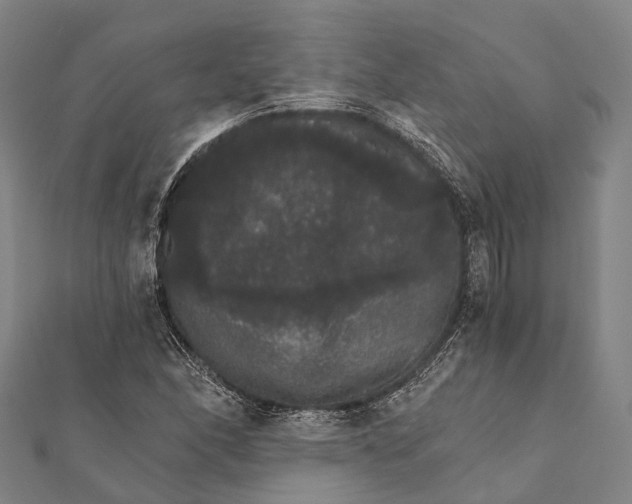 X0000111581166200908131312