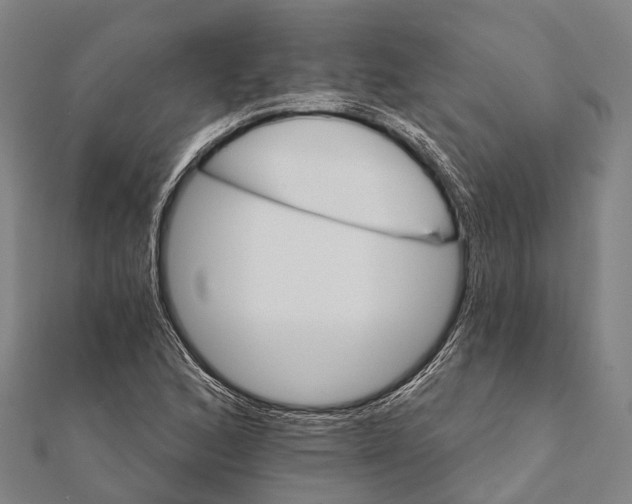 X0000111581168200908131312