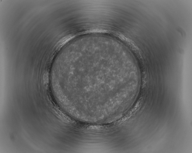 X0000111581169200908131312