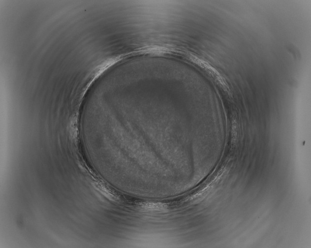 X0000111581170200908131312