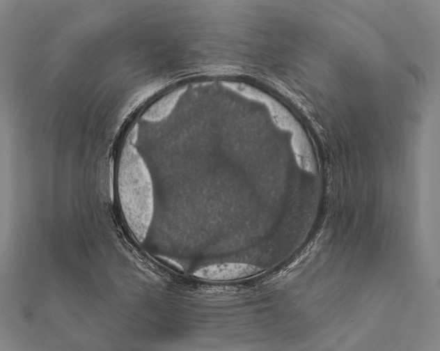 X0000111581171200908131312