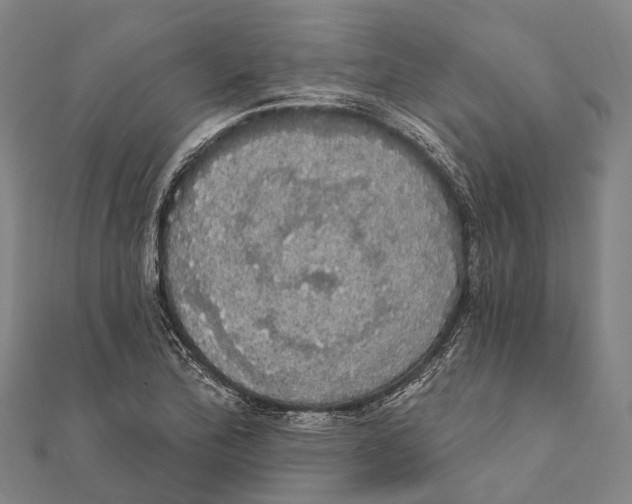 X0000111581172200908131312