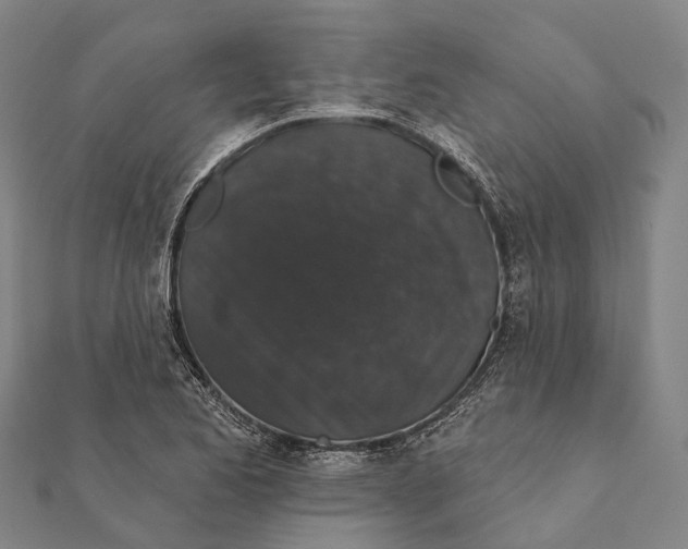 X0000111581173200908131312