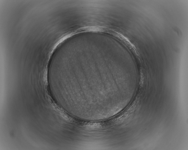 X0000111581174200908131312