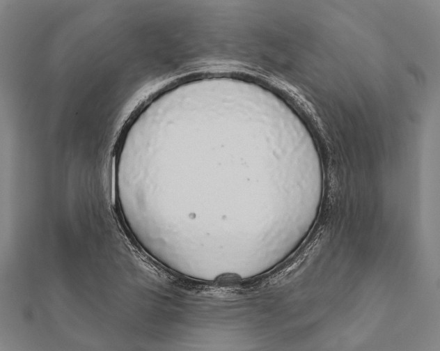 X0000111581175200908131312