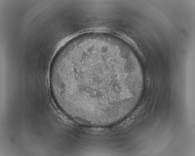 X0000111581176200908131312