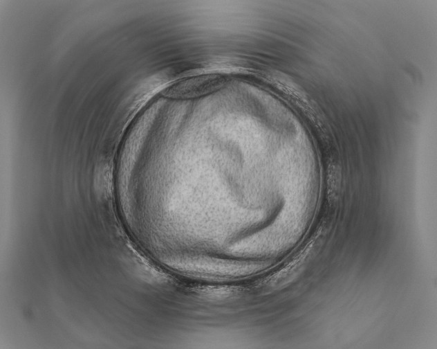 X0000111581177200908131312