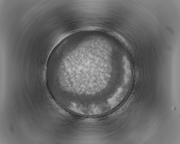 X0000111581178200908131312