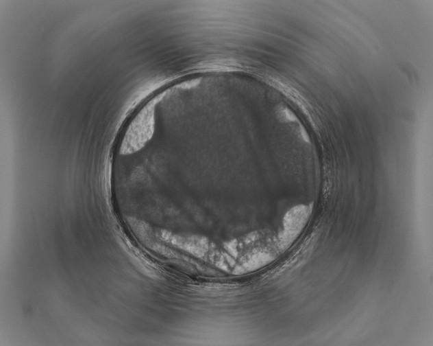 X0000111581179200908131312